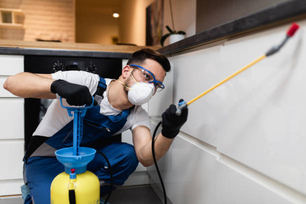 Best Wasp Removal Services  in Westernport, MD