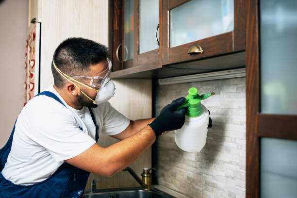 Best Emergency Pest Control  in Westernport, MD