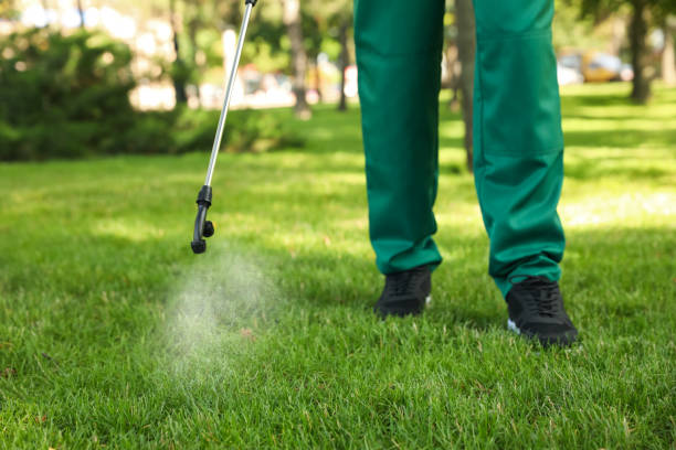 Best Wasp Removal Services  in Westernport, MD
