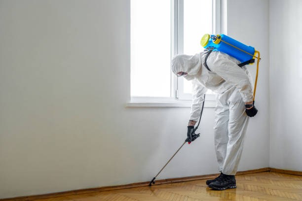 Best Pest Removal Services  in Westernport, MD