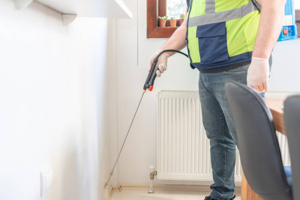 Best Pest Prevention Services  in Westernport, MD